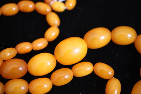 A single strand graduated oval amber bead necklace, 1.5in.